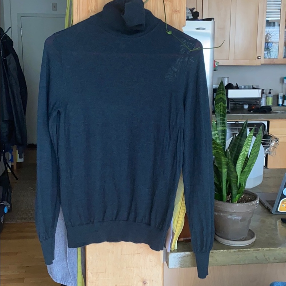 Pure Merino Wool Turtleneck